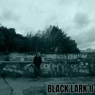 Black Lark II