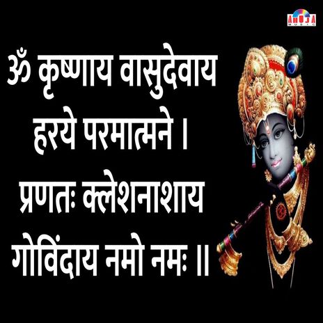 ॐ कृष्णाय वासुदेवाय हरये परमात्मने, प्रणतः क्लेश नाशाय गोविंदाय नमो नमः | Boomplay Music