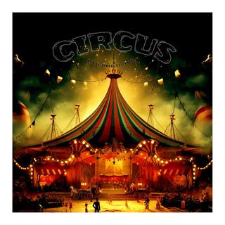 Welcome To The Circus lyrics | Boomplay Music