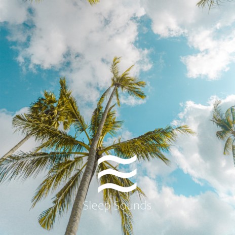 Placid Soft Sea Waves Sounds | Boomplay Music