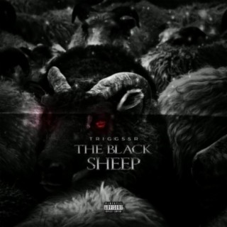 The Black Sheep