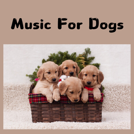 Puppy Power ft. Music For Dogs Peace, Relaxing Puppy Music & Calm Pets Music Academy | Boomplay Music