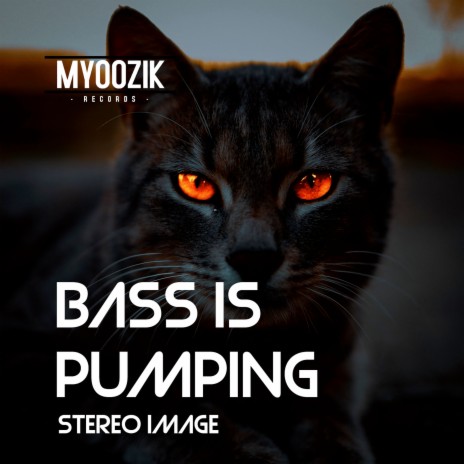 Bass Is Pumping | Boomplay Music