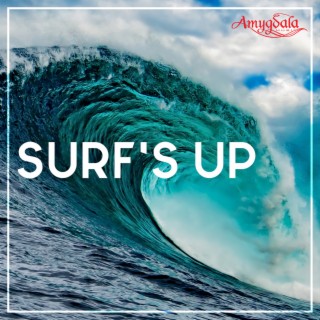 Surf's Up