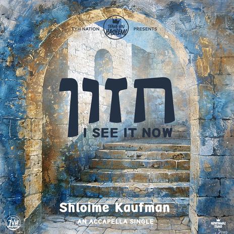 Chazon - חזון (Acapella) ft. Shloime Kaufman | Boomplay Music