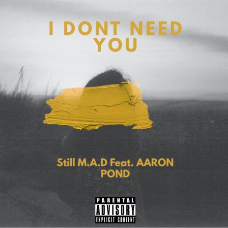 I dont need you | Boomplay Music