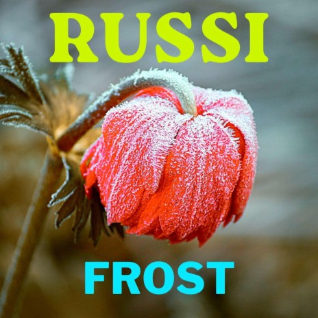 Frost