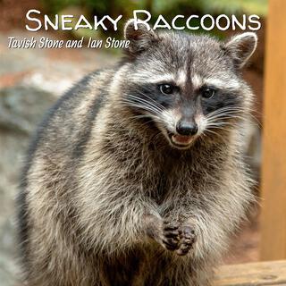 Sneaky Raccoons