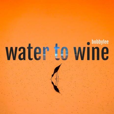 Water to Wine | Boomplay Music