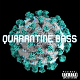Quarantine Bass Freestyle (feat. P.O.S.)
