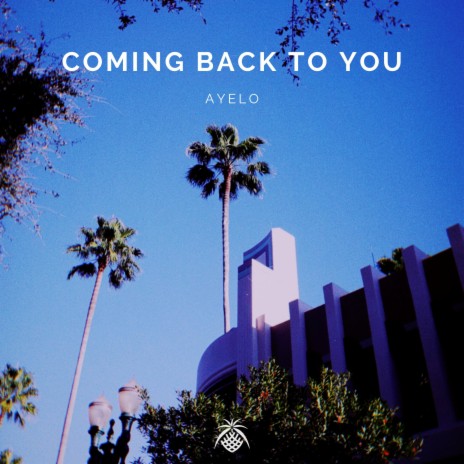 Coming Back To You | Boomplay Music