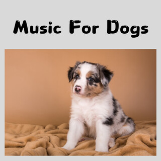 Music For Dogs