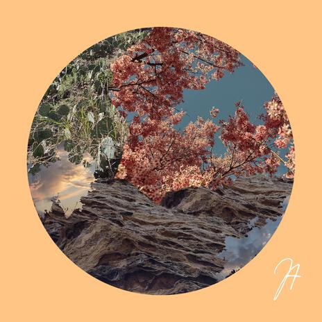 Desert to Gardens | Boomplay Music