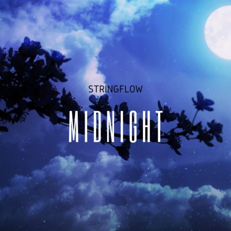 Midnight | Boomplay Music