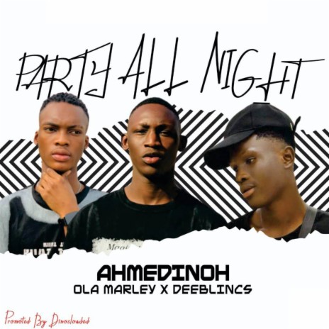 Party All Night ft. Ola Marley & Deeblincs | Boomplay Music