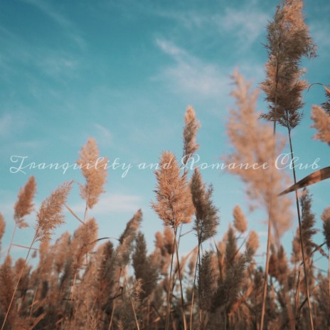 Tranquility and Romance Club | Boomplay Music