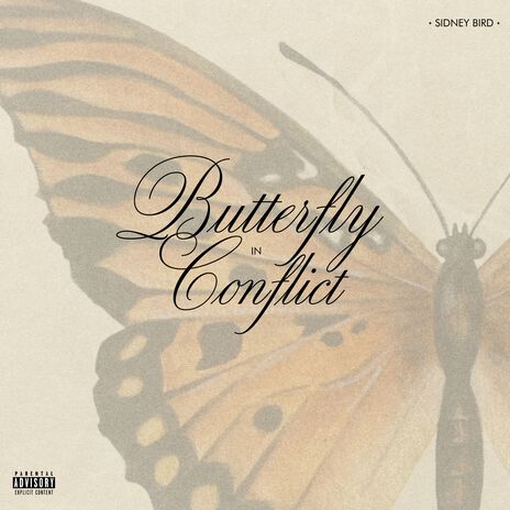 butterfly in conflict | Boomplay Music