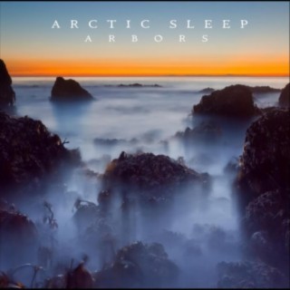 Arctic Sleep