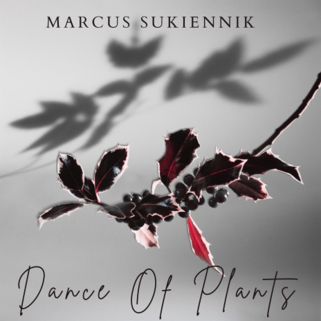 Dance Of Plants