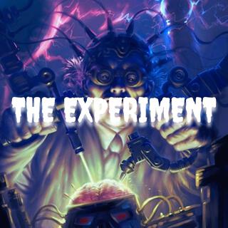 The experiment