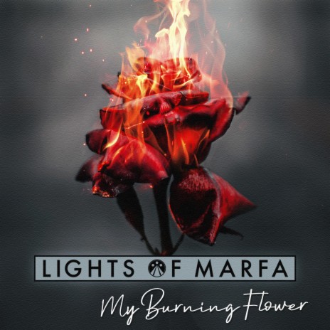 My Burning Flower | Boomplay Music