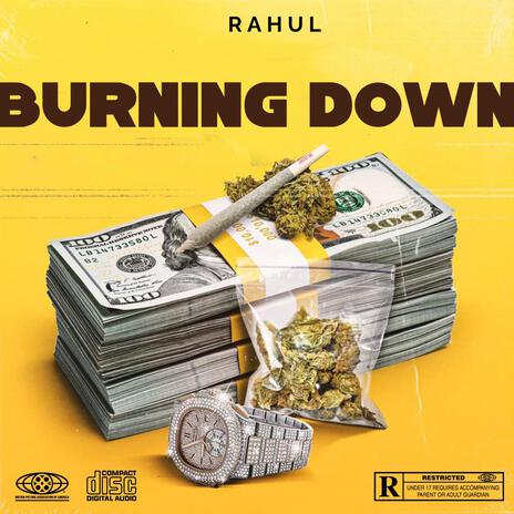 Burning Down | Boomplay Music