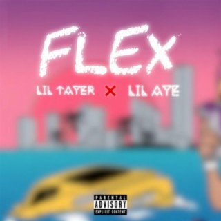 Flex (feat. Lil Aye)