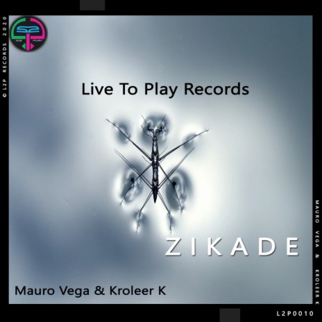 Zikade (Original Mix) ft. Kroleer K