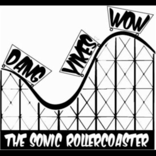 Dang Yikes Wow the Sonic Roller Coaster
