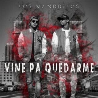 Vine pa quedarme ft. Blessed Dogg & Blessed dog lyrics | Boomplay Music