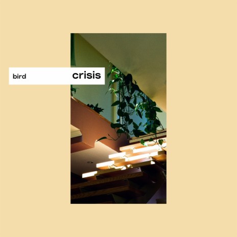 crisis | Boomplay Music