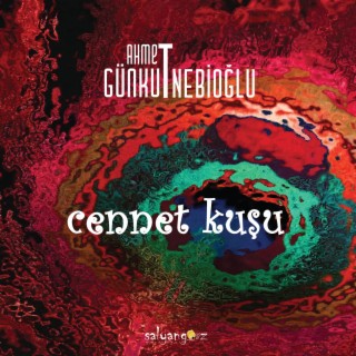 Cennet Kuşu lyrics | Boomplay Music