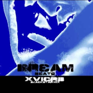 DREAM BEATS XVICRB