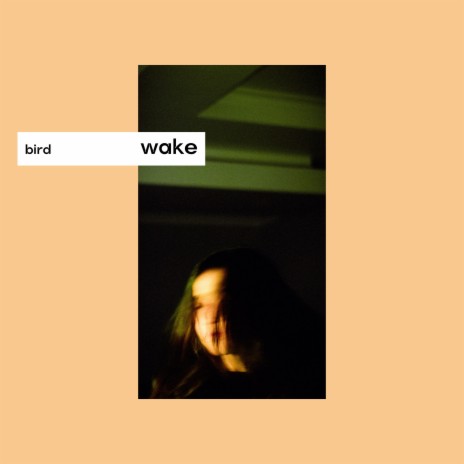 wake | Boomplay Music