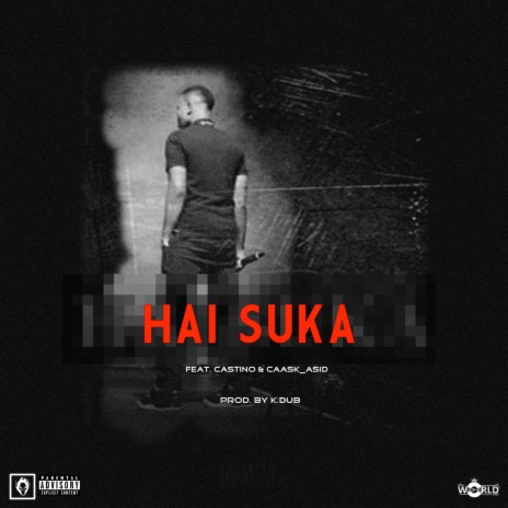 Hai Suka ft. CASTINO & CAASK_ASID | Boomplay Music