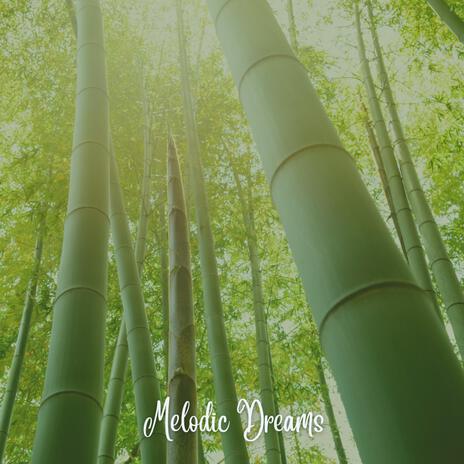 Bamboo Forest | Boomplay Music