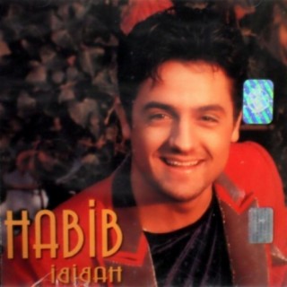 Habibi