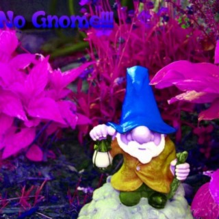 No Gnome!