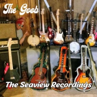 The Seaview Recordings