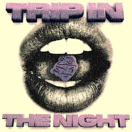 TRIP IN THE NIGHT | Boomplay Music