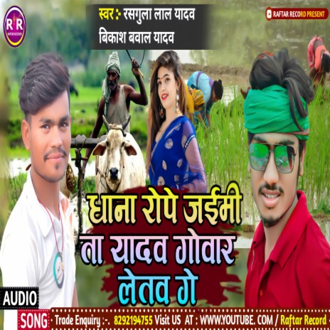 Dhan Rope Jemi Ta Yadav Gowar Letaw Ge (bhojpuri) ft. Vikash Bawal Yadav | Boomplay Music