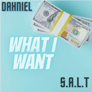 What I Want ft. S.A.L.T lyrics | Boomplay Music