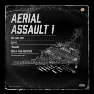 Aerial Assault 1 (feat. Junk, Pnwrk & Young Sin)