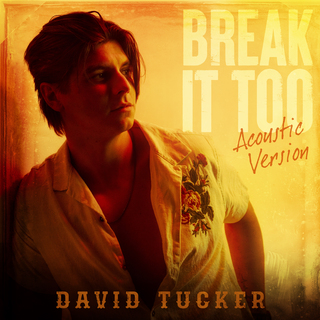 Break It Too (Acoustic Version)