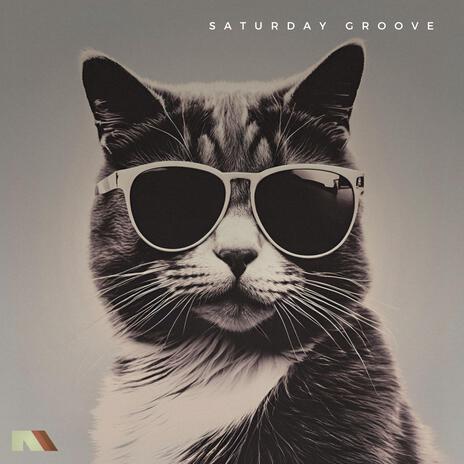 Saturday Groove | Boomplay Music