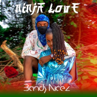 Ninja Love lyrics | Boomplay Music