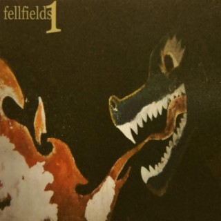 Fellfields