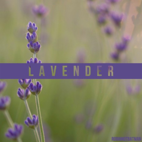 Lavender