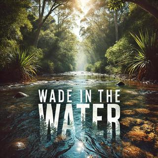 Wade in the Water ft. Amber Nicole Sutton lyrics | Boomplay Music