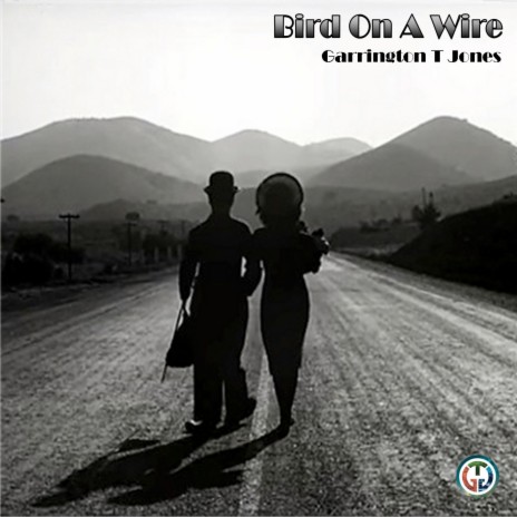 Bird on a Wire | Boomplay Music